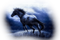 LOLY33 CHEVAL - gratis png
