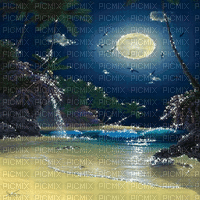 soave background animated summer night tropical - GIF animate gratis