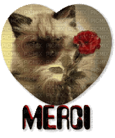 CHAT MERCI - Безплатен анимиран GIF