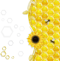 honeycomb frutiger - png grátis