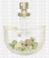 Bottle with flowers - bezmaksas png