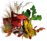 Herbst, Deko, Pilze - zdarma png