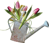 Water Can with Tulips - bezmaksas png