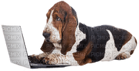 Kaz_Creations Dog Laptop - gratis png