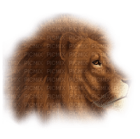 Kaz_Creations Animals Lion Cubs - png ฟรี