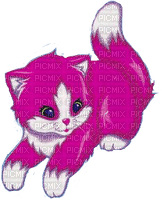 Lisa frank cat - PNG gratuit