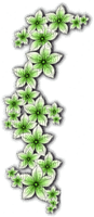 Flowers overlay deco [Basilslament] - darmowe png