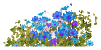 nbl-flower - Free animated GIF