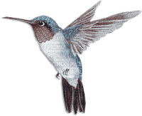 soave deco bird hummingbird blue brown - ücretsiz png