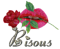 colombe-61  rose gif - GIF animado grátis
