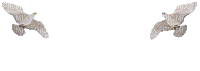 quwlar - Darmowy animowany GIF