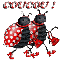 coucou - Ingyenes animált GIF