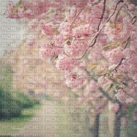 Background Spring - png ฟรี