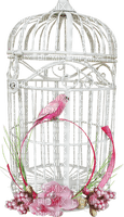 Kaz_Creations Birds Bird In Cage - Free PNG