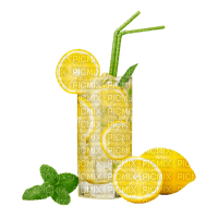 Lemon.Citron.Cocktail.Limón.Victoriabea