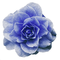 blue-rose-flower-minou52 - фрее пнг