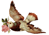 charmille _ oiseaux - GIF animasi gratis