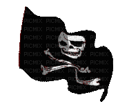 pirate bp - Zdarma animovaný GIF
