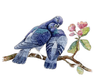 kikkapink deco birds couple branch flowers - δωρεάν png
