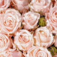 Roses Animated Background - Bezmaksas animēts GIF