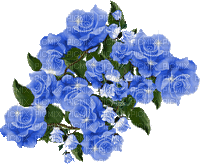 MMarcia gif flores azuis fundo - Бесплатный анимированный гифка