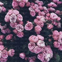 Flowers - zadarmo png