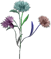 virág - Ingyenes animált GIF