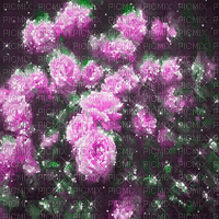 dolceluna purple green roses fond gif animated - Бесплатный анимированный гифка