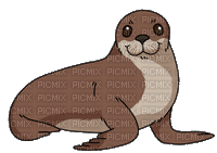 nbl-sea lion - Free animated GIF