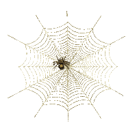 spider web - GIF animé gratuit