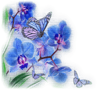 papillons - PNG gratuit