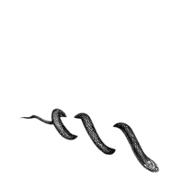 tatouage serpent - 無料png