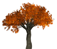 Fall Tree-RM - δωρεάν png