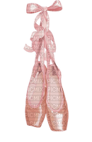 Ballerina shoes - 免费PNG