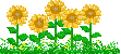 flowers - Bezmaksas animēts GIF