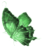 Y.A.M._Fantasy butterfly green - GIF animé gratuit