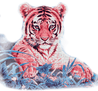 Y.A.M._Animals tiger - бесплатно png