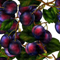 plums background by nataliplus - gratis png