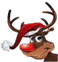 reindeer deer rentier renne fun animal christmas noel xmas weihnachten Navidad рождество natal tube animated animation gif anime