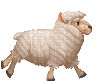 Running Sheep - Free animated GIF