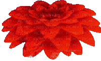 fiore rosso tridimensionale - Free animated GIF
