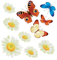 Butterfly- pages -2 - png gratis