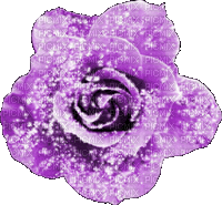 Animated.Rose.Purple - By KittyKatLuv65 - Gratis geanimeerde GIF