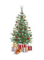 Tannenbaum, Weihnachten, Winter - zdarma png