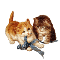 gatitos animados gif dubravka4 - GIF animado gratis