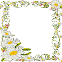 soave frame flowers daisy sping yellow green - Free PNG