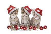 cat chat katze animal christmas noel tube deco - bezmaksas png
