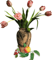 tulipan - ingyenes png