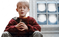 Home Alone - png ฟรี