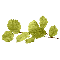 leaves_automne_SPRING__ feuille_branch_autumn_BlueDREAM70 - PNG gratuit